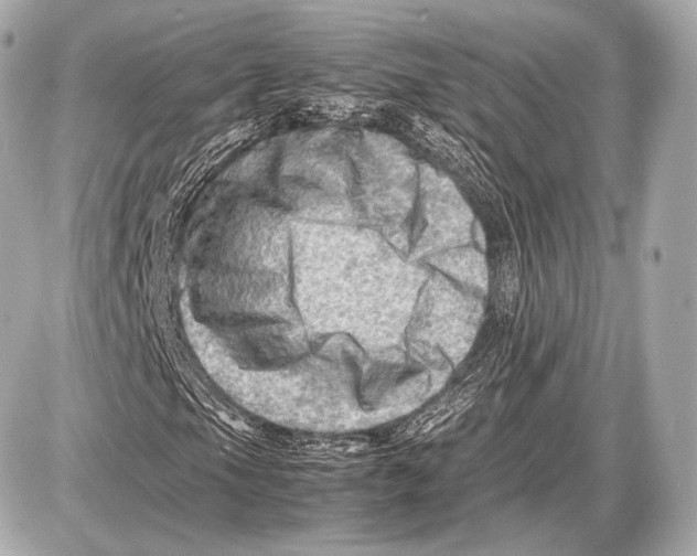 X0000087401105200705111818