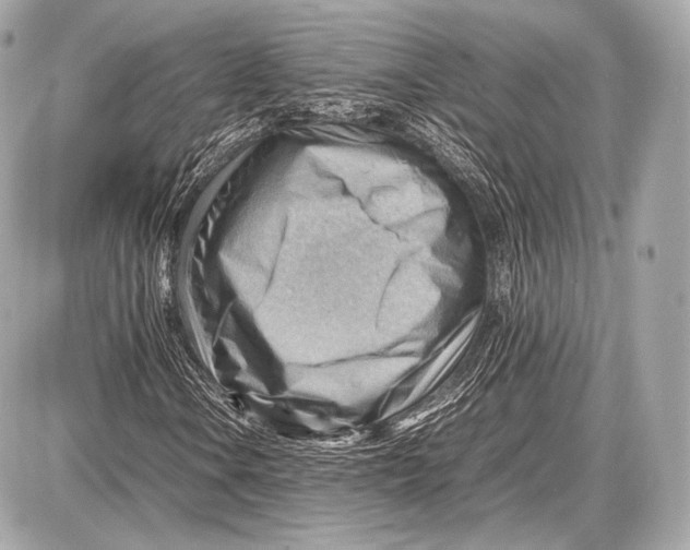 X0000087401106200705111818