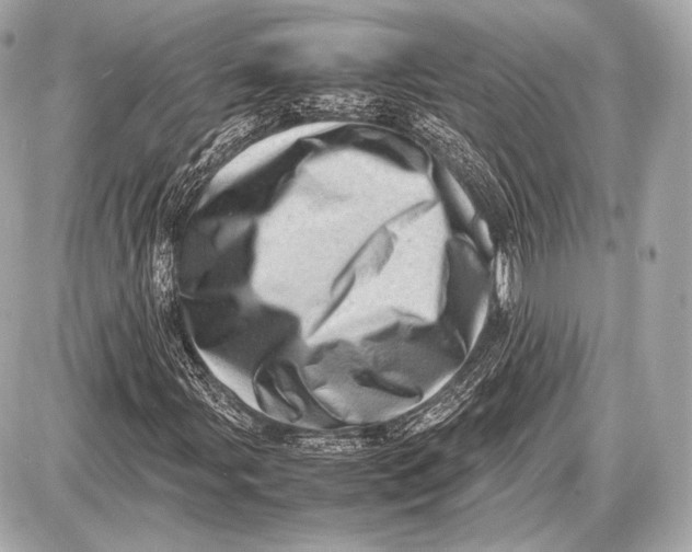 X0000087401107200705111819