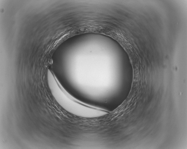 X0000087401109200705111819