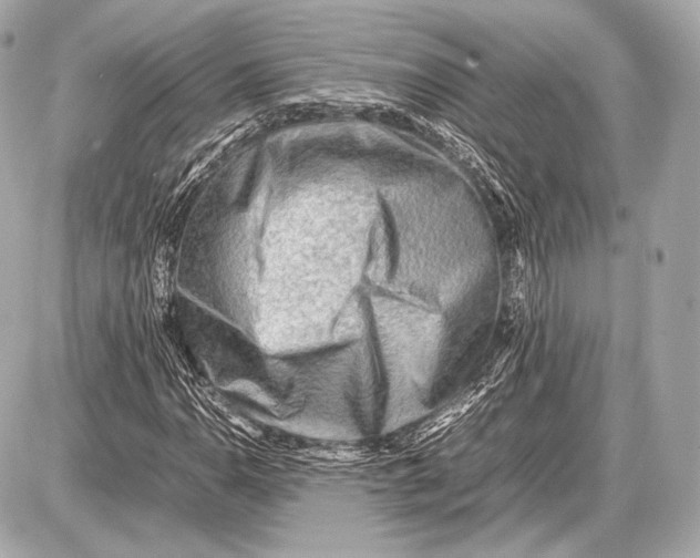 X0000087401110200705111819