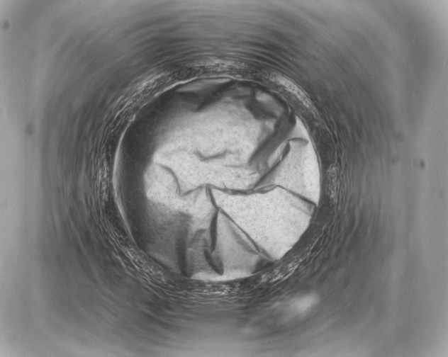 X0000087401111200705111819