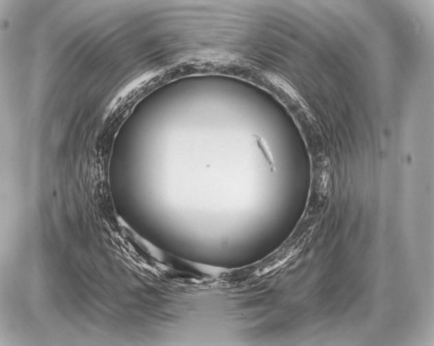 X0000087401112200705111819