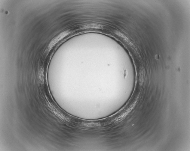 X0000087401113200705111819