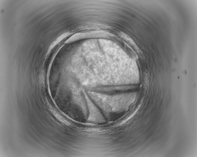 X0000087401114200705111819