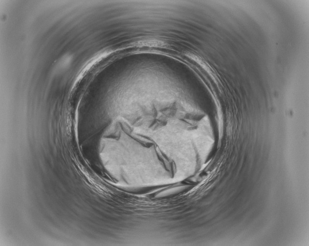 X0000087401115200705111819