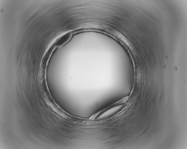 X0000087401116200705111819