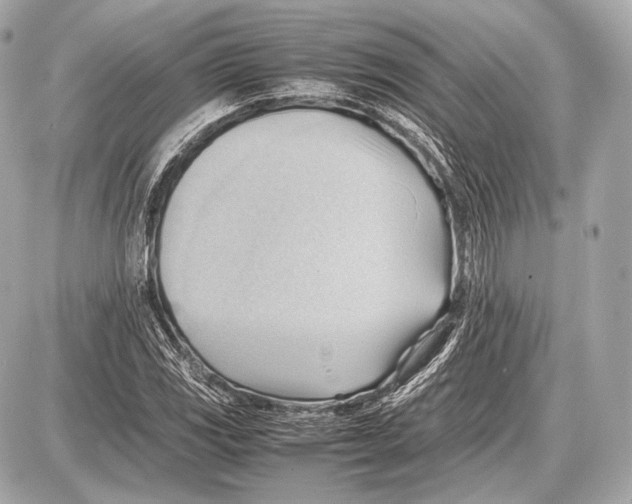 X0000087401117200705111819