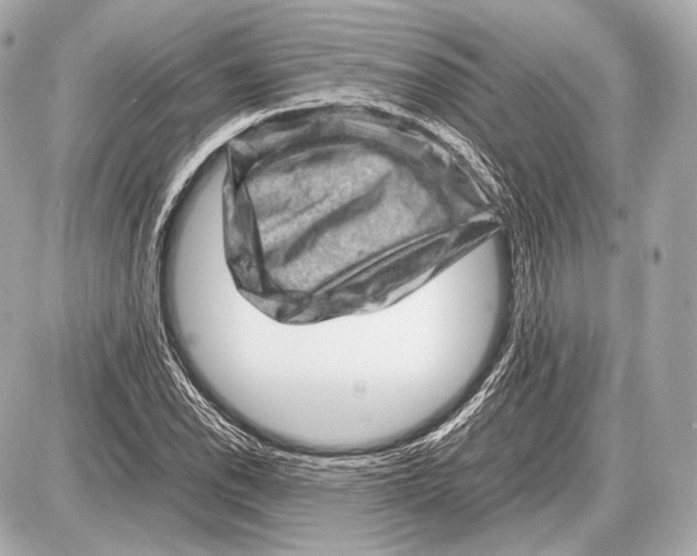 X0000087401118200705111819