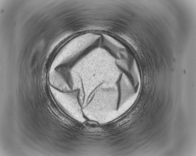 X0000087401119200705111819