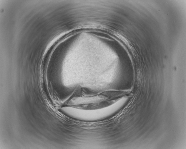 X0000087401120200705111819