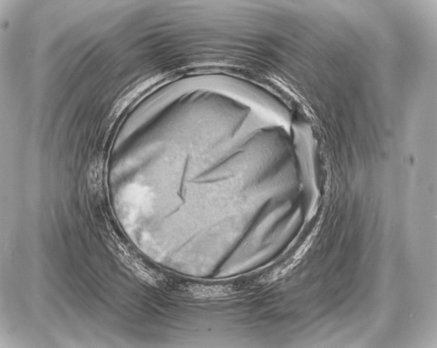 X0000087401121200705111819