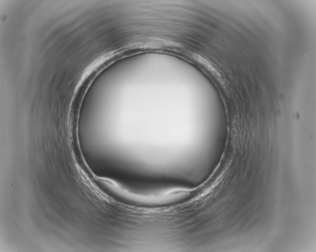 X0000087401122200705111819