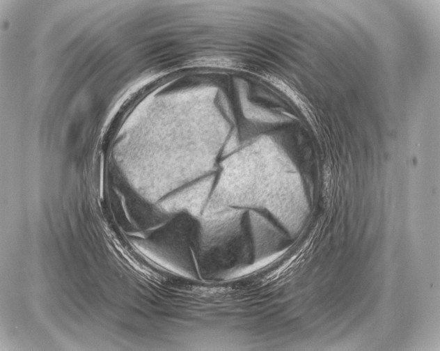 X0000087401123200705111819