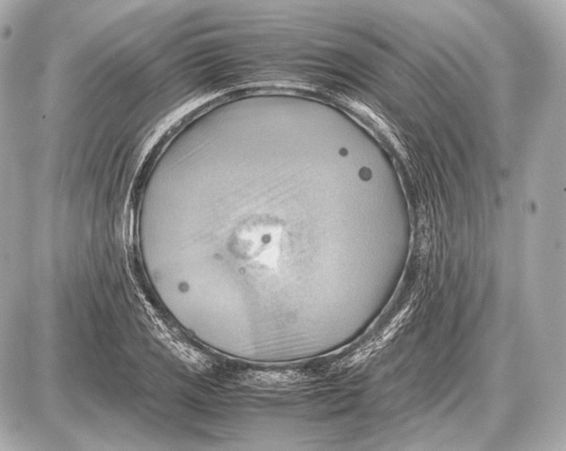 X0000087401125200705111819