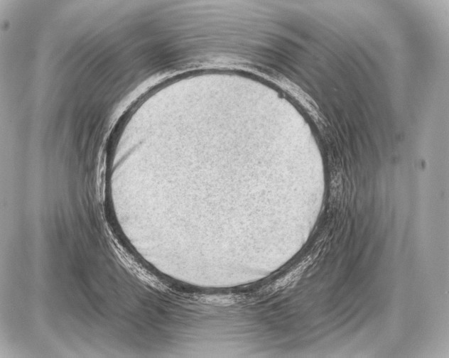 X0000087401126200705111819