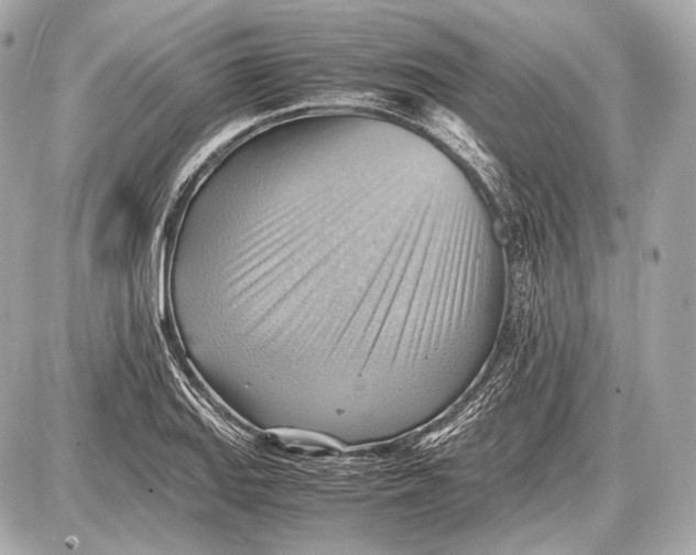 X0000087401127200705111819