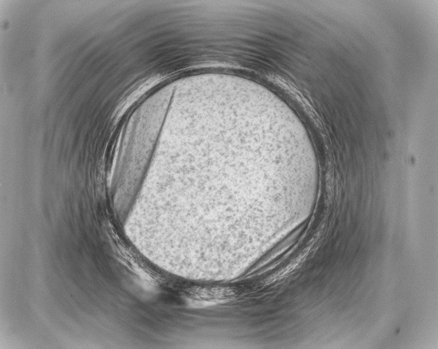 X0000087401129200705111819