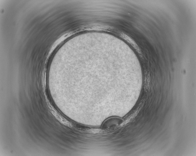 X0000087401130200705111819