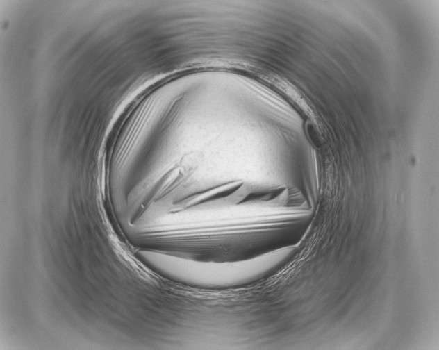 X0000087401132200705111819