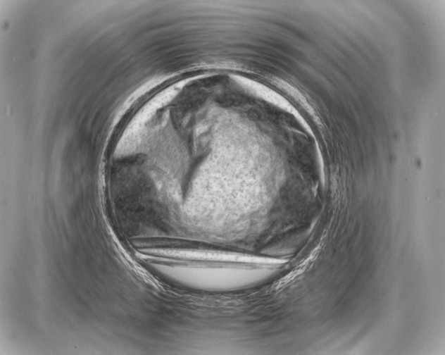 X0000087401133200705111819