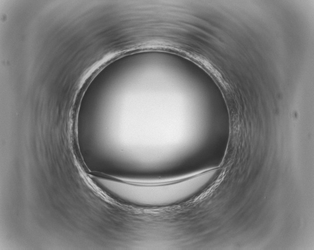 X0000087401134200705111819