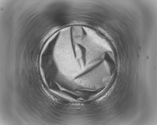 X0000087401137200705111819