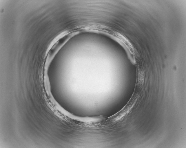 X0000087401138200705111819