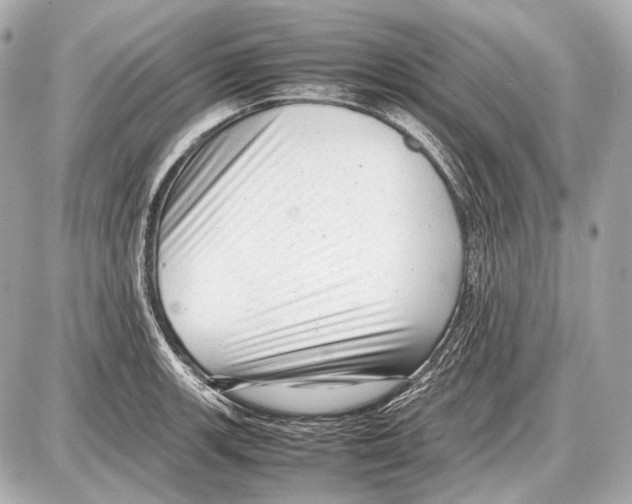 X0000087401139200705111819