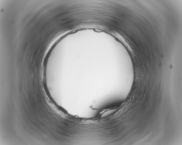 X0000087401140200705111819