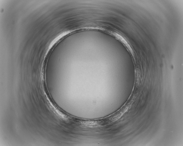 X0000087401141200705111819