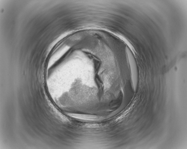 X0000087401142200705111819