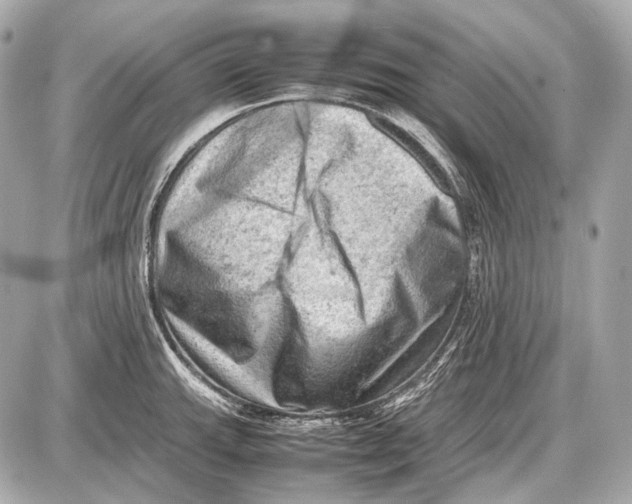 X0000087401143200705111819