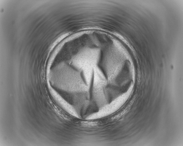 X0000087401145200705111819