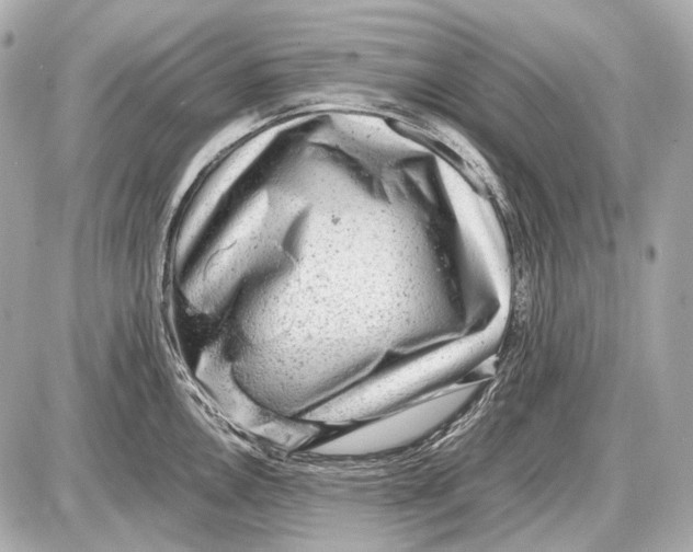 X0000087401146200705111819