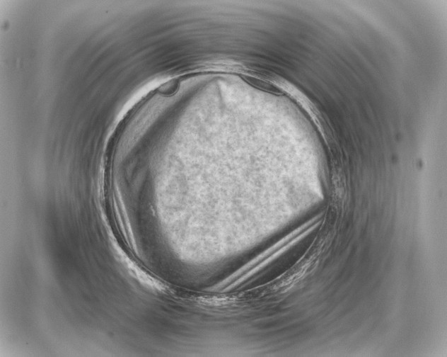 X0000087401147200705111819