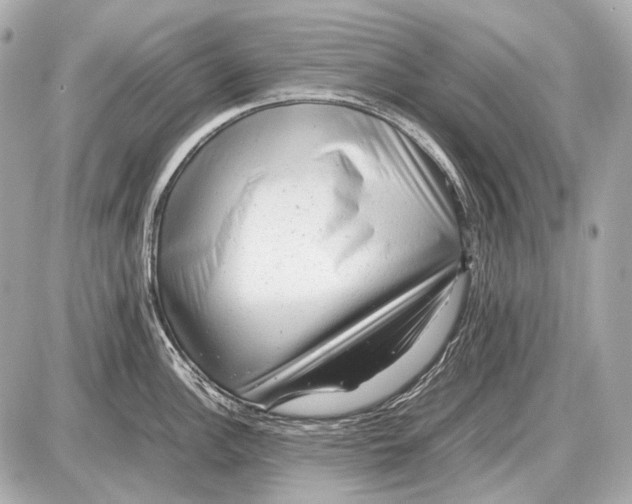 X0000087401148200705111819