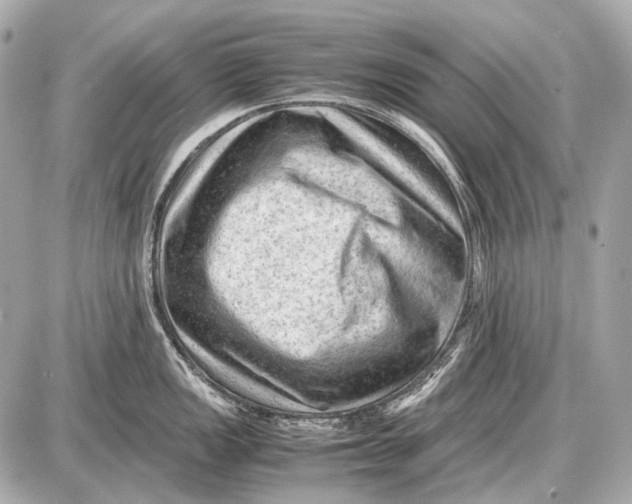 X0000087401149200705111819