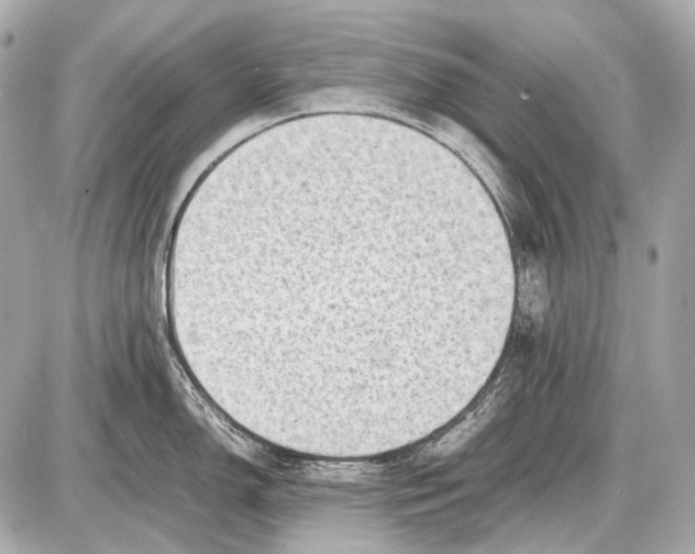 X0000087401150200705111819