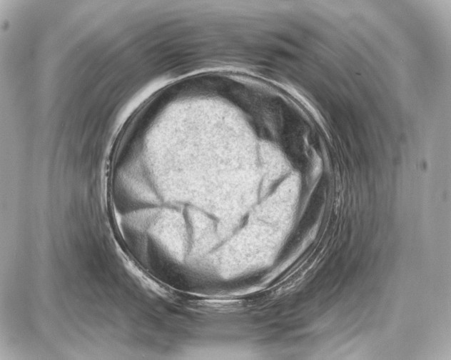 X0000087401151200705111819