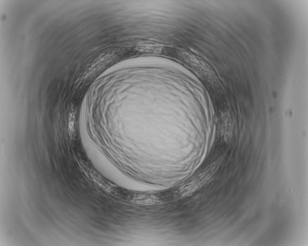 X0000087401154200705111818