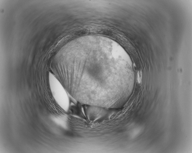 X0000087401155200705111818