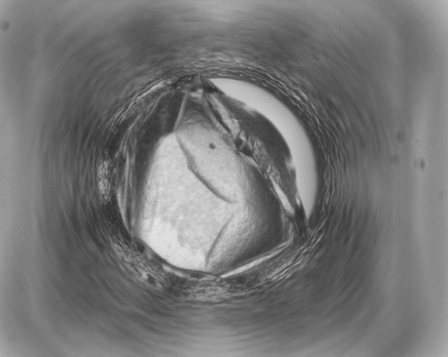 X0000087401156200705111818