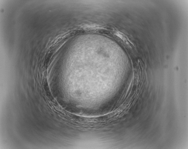 X0000087401157200705111818