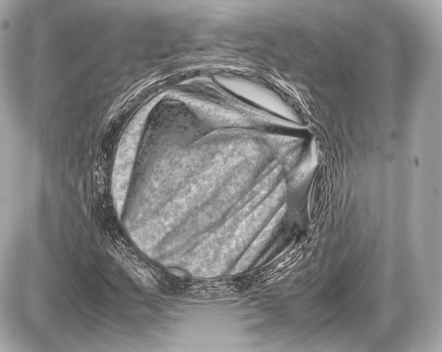 X0000087401159200705111818