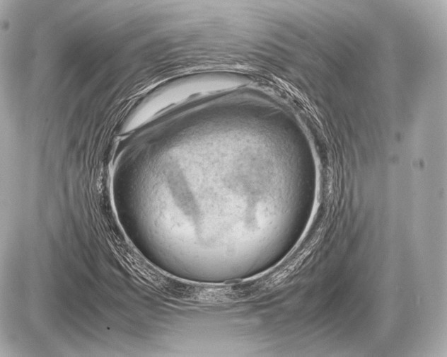 X0000087401161200705111818