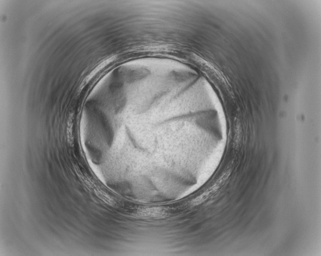 X0000087401162200705111818