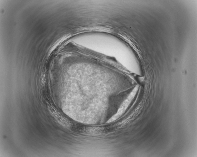 X0000087401163200705111818