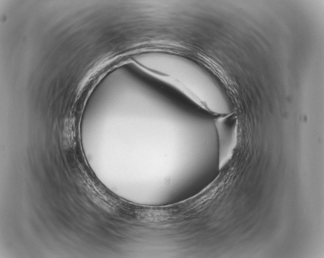 X0000087401164200705111818