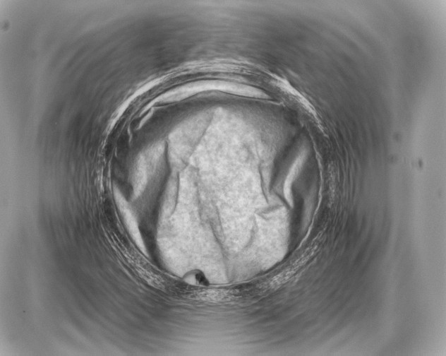 X0000087401166200705111818